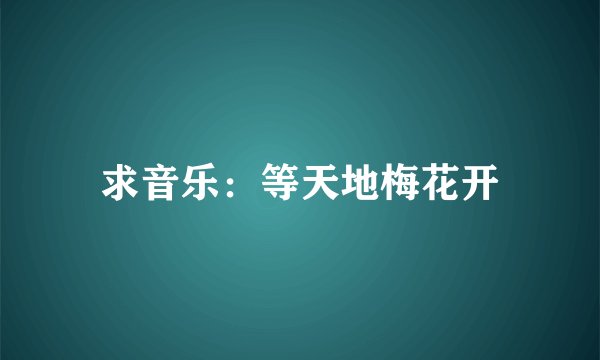 求音乐：等天地梅花开