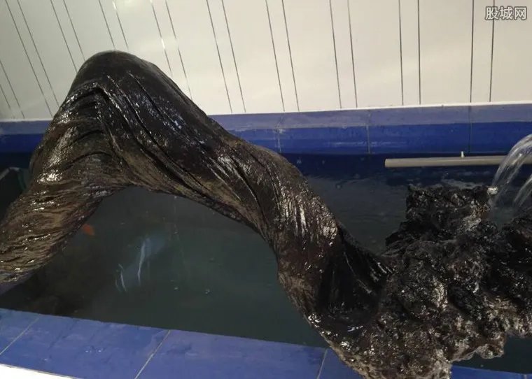 男子发现明代沉木 这根木头价值2000万元太惊人