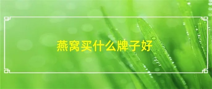 燕窝买什么牌子好