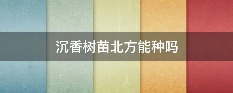 沉香树苗北方能种吗