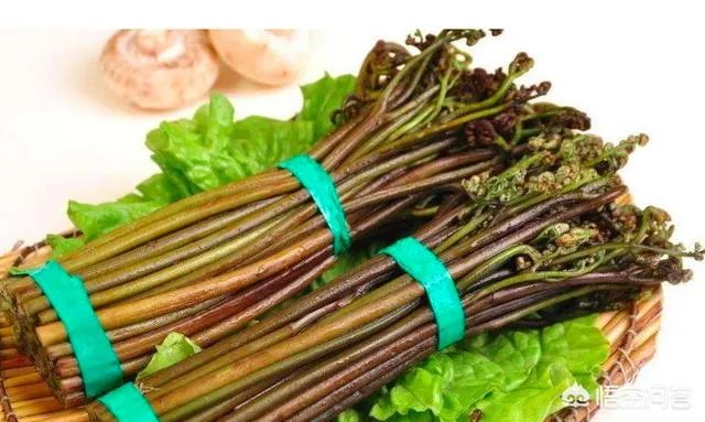 农村田野很多野菜都冒出了头，什么野菜是这个时节比较好采又好吃的？