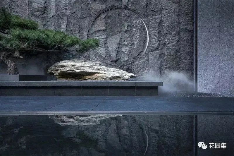 造型松，无奇不自由！气质庭院必备元素