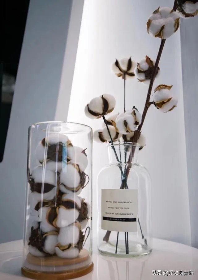 想问下，有哪些吸汗棉袜价格不是很贵的？能在网上购买？