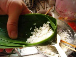 三角粽----多图详解如何用小粽叶包出迷人的三角粽