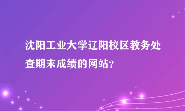 沈阳工业大学辽阳校区教务处查期末成绩的网站？