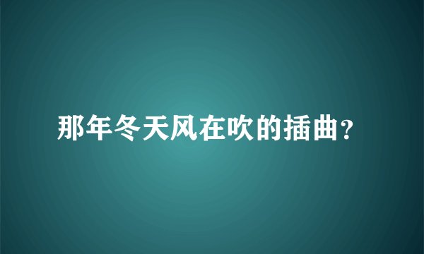 那年冬天风在吹的插曲？