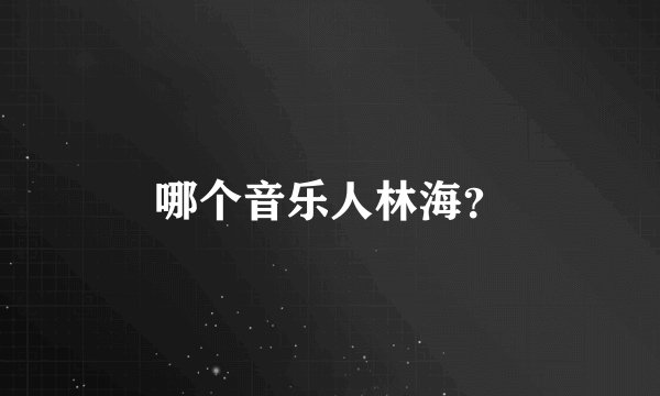 哪个音乐人林海？