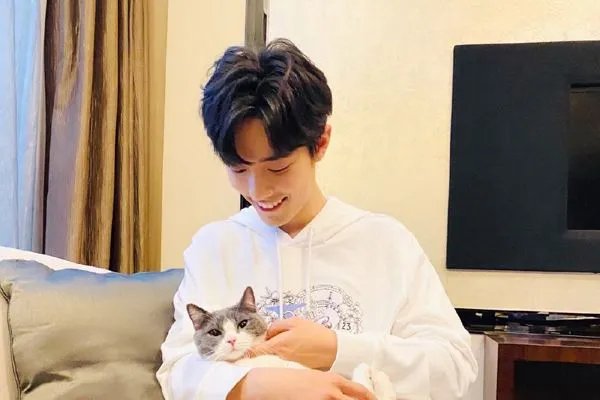 有网友爆料称肖战同人文《下坠》的作者是肖战经纪人张晶，你怎么看？