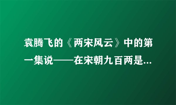 袁腾飞的《两宋风云》中的第一集说——在宋朝九百两是傻的意思，请问诸位这个依据是什么？