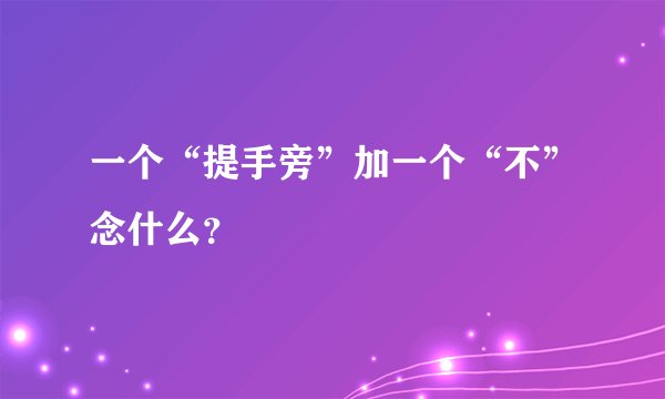 一个“提手旁”加一个“不”念什么？