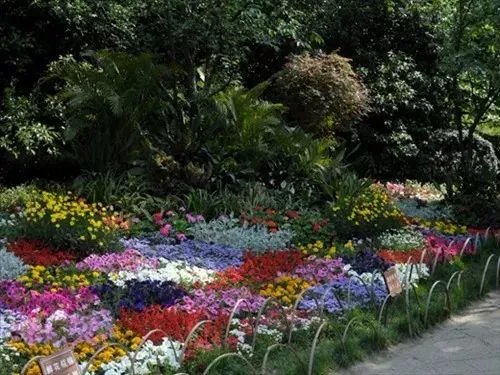 原创:花境按植物材料的分类及各自优缺点