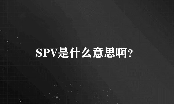 SPV是什么意思啊？