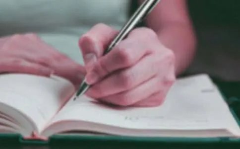 我的收藏的作文