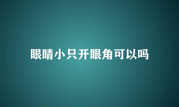 眼睛小只开眼角可以吗