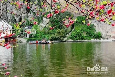 娱乐节目停播5天了怎么办干什么