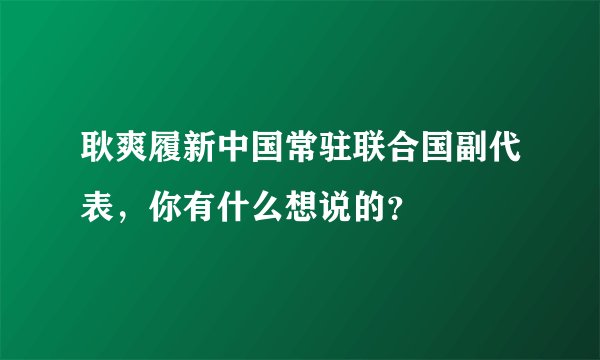 耿爽履新中国常驻联合国副代表，你有什么想说的？