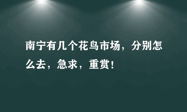南宁有几个花鸟市场，分别怎么去，急求，重赏！
