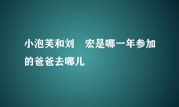 小泡芙和刘畊宏是哪一年参加的爸爸去哪儿