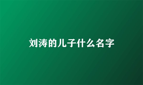 刘涛的儿子什么名字
