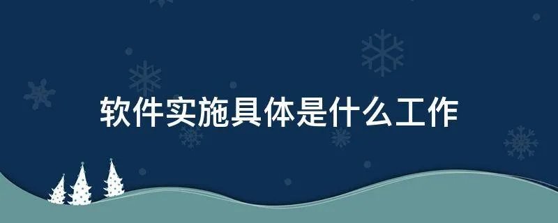 软件实施具体是什么工作