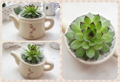 结婚回礼小礼物推荐 实用的回礼礼品有哪些