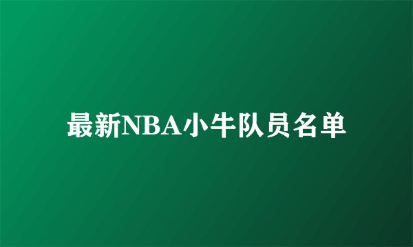 最新NBA小牛队员名单
