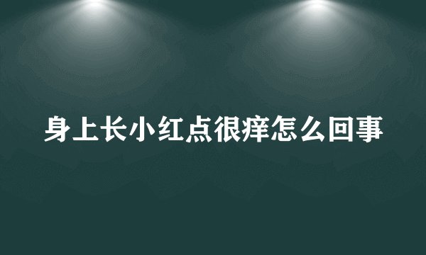 身上长小红点很痒怎么回事