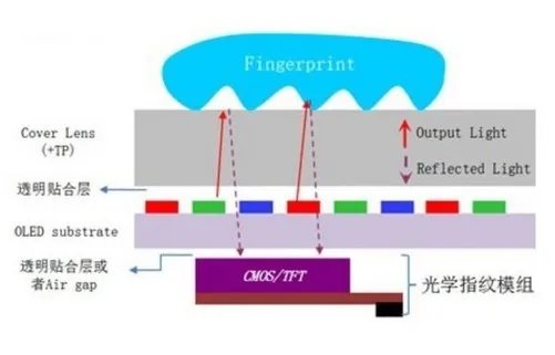 一文看懂三大指纹识别原理 光学屏幕指纹强在哪