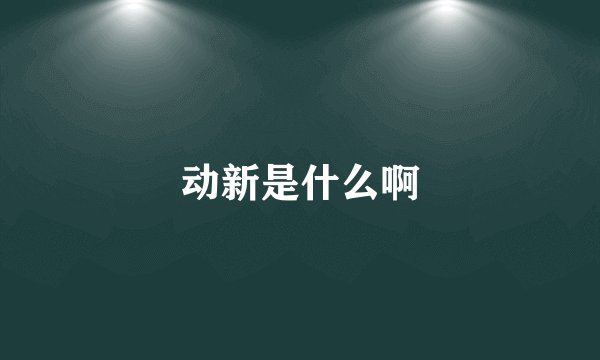 动新是什么啊