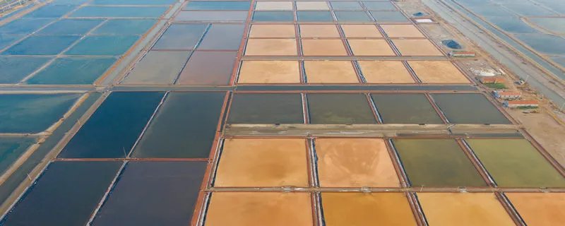 盐是怎么形成的 盐是如何制作的