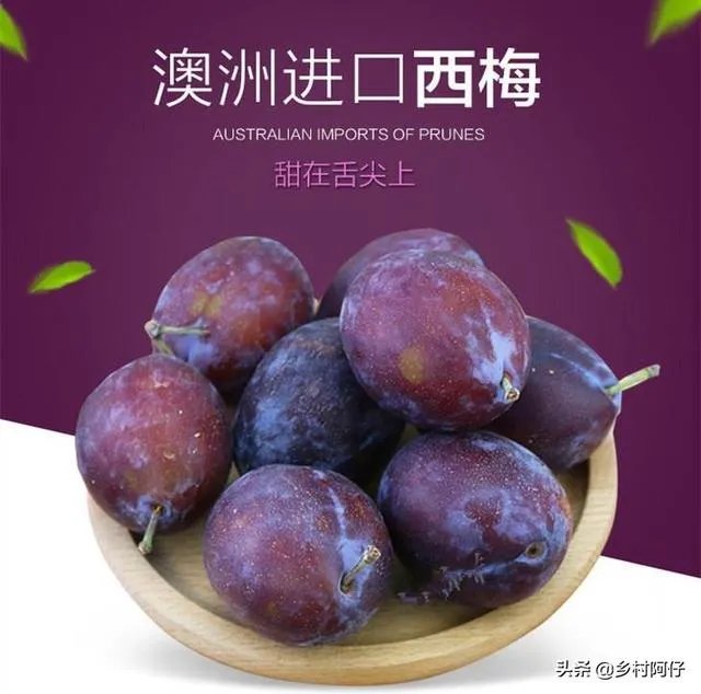 智利西梅好还是澳洲西梅好?