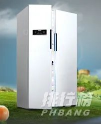 国内哪些电冰箱质量好_国内电冰箱质量排行榜