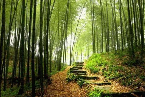 金风送爽的意思是什么？