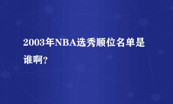 2003年NBA选秀顺位名单是谁啊？