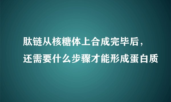 肽链从核糖体上合成完毕后，还需要什么步骤才能形成蛋白质