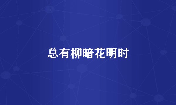 总有柳暗花明时