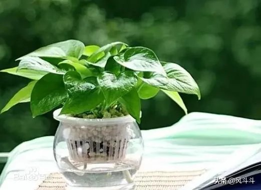 室内空气质量不好怎么办？