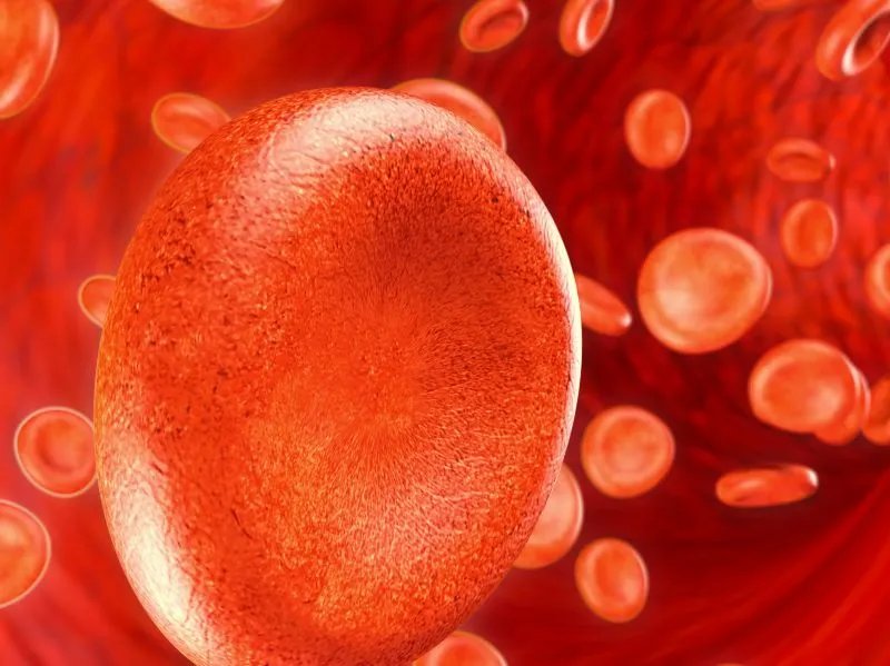 血色素偏低的原因及预防