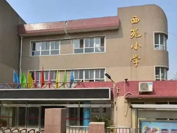 石家庄小学排名