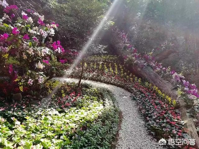 广东省从化市石门国家森林公园好玩吗？从广州市区怎么去？