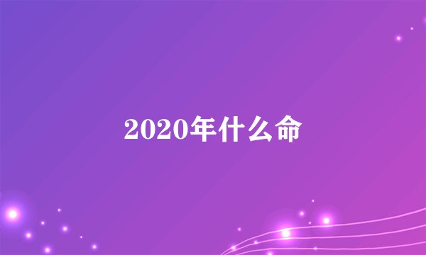 2020年什么命