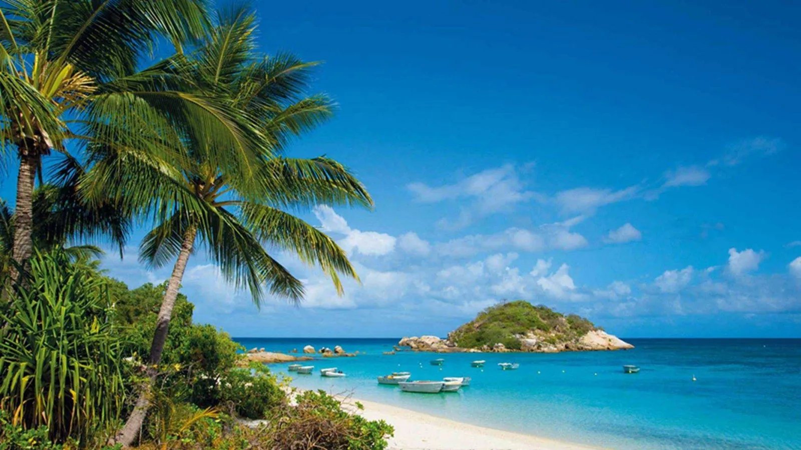 海南三亚发生4.2级地震，对三亚的旅游环境有什么影响？