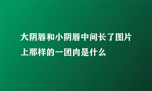 大阴唇和小阴唇中间长了图片上那样的一团肉是什么