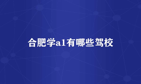合肥学a1有哪些驾校