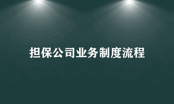 担保公司业务制度流程