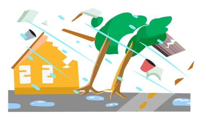 黄色台风要上学吗 黄色台风需要上学吗