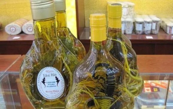 十大补肾壮阳酒排名 吓跑女人壮阳药酒都在这