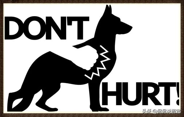 为什么我家狗狗每次突然见到主人我，都会尿失禁？