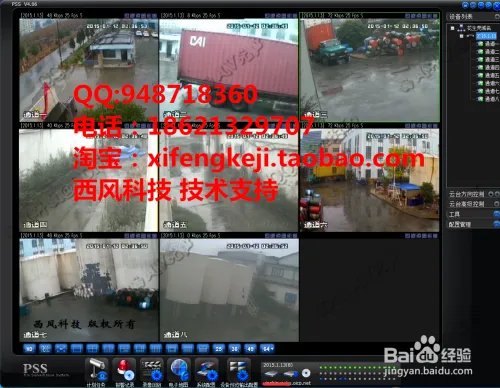 3322 花生壳远程访问大华客户端