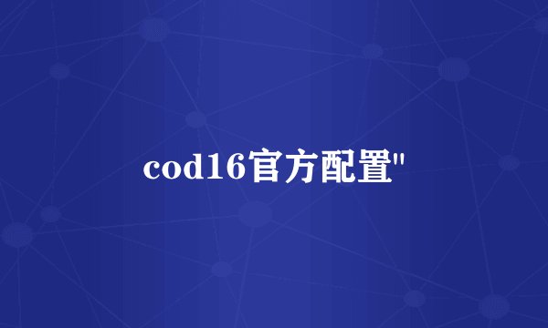 cod16官方配置